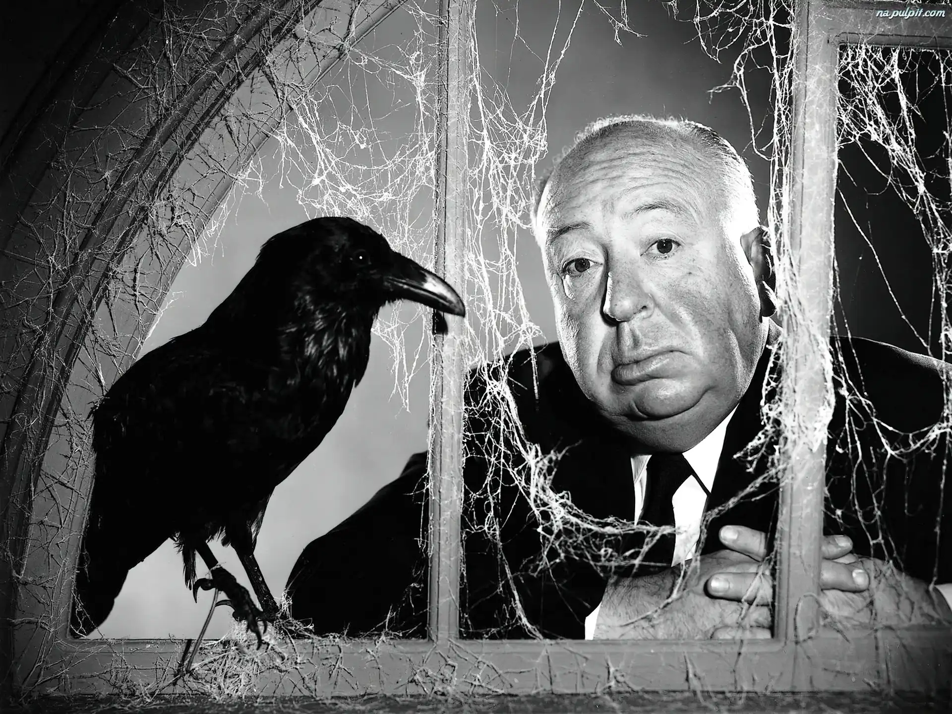 Fåglarna i svartvitt av Alfred Hitchcoock